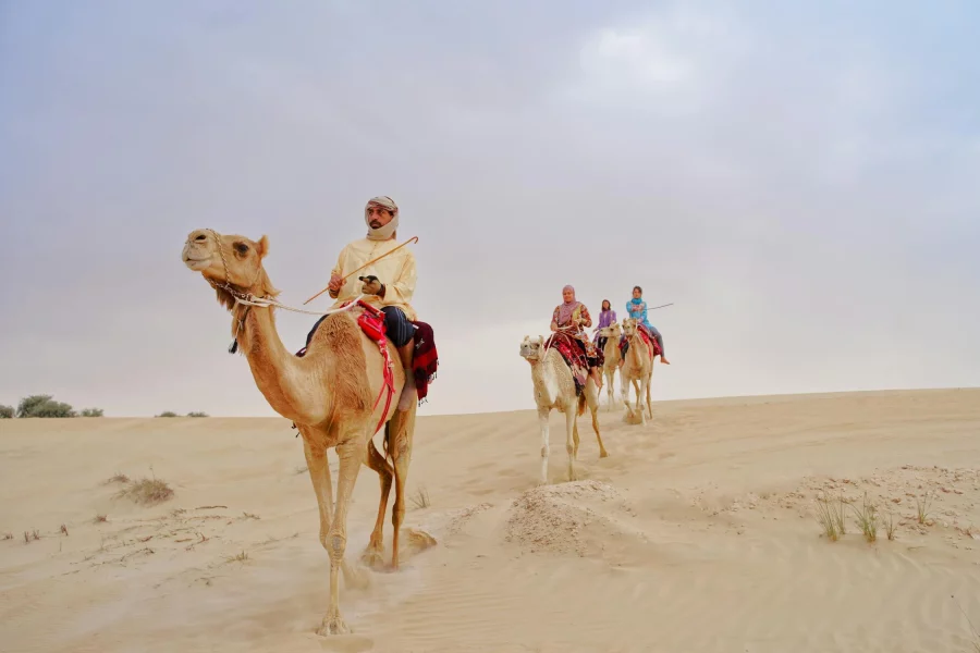 Horseback or Camel Riding Adventure